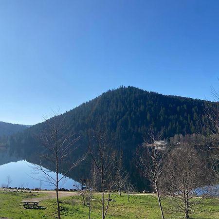 Chalet Authentique Au Calme, En Lisiere De Foret, Montagne, Sentiers 15Mn Gerardmer & Alsace "Chalet Mon Beau Sapin" Anould المظهر الخارجي الصورة