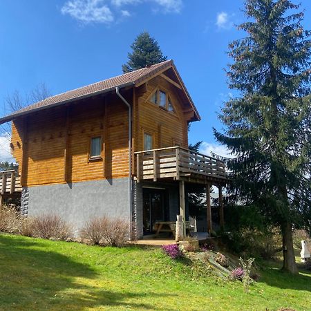 Chalet Authentique Au Calme, En Lisiere De Foret, Montagne, Sentiers 15Mn Gerardmer & Alsace "Chalet Mon Beau Sapin" Anould المظهر الخارجي الصورة