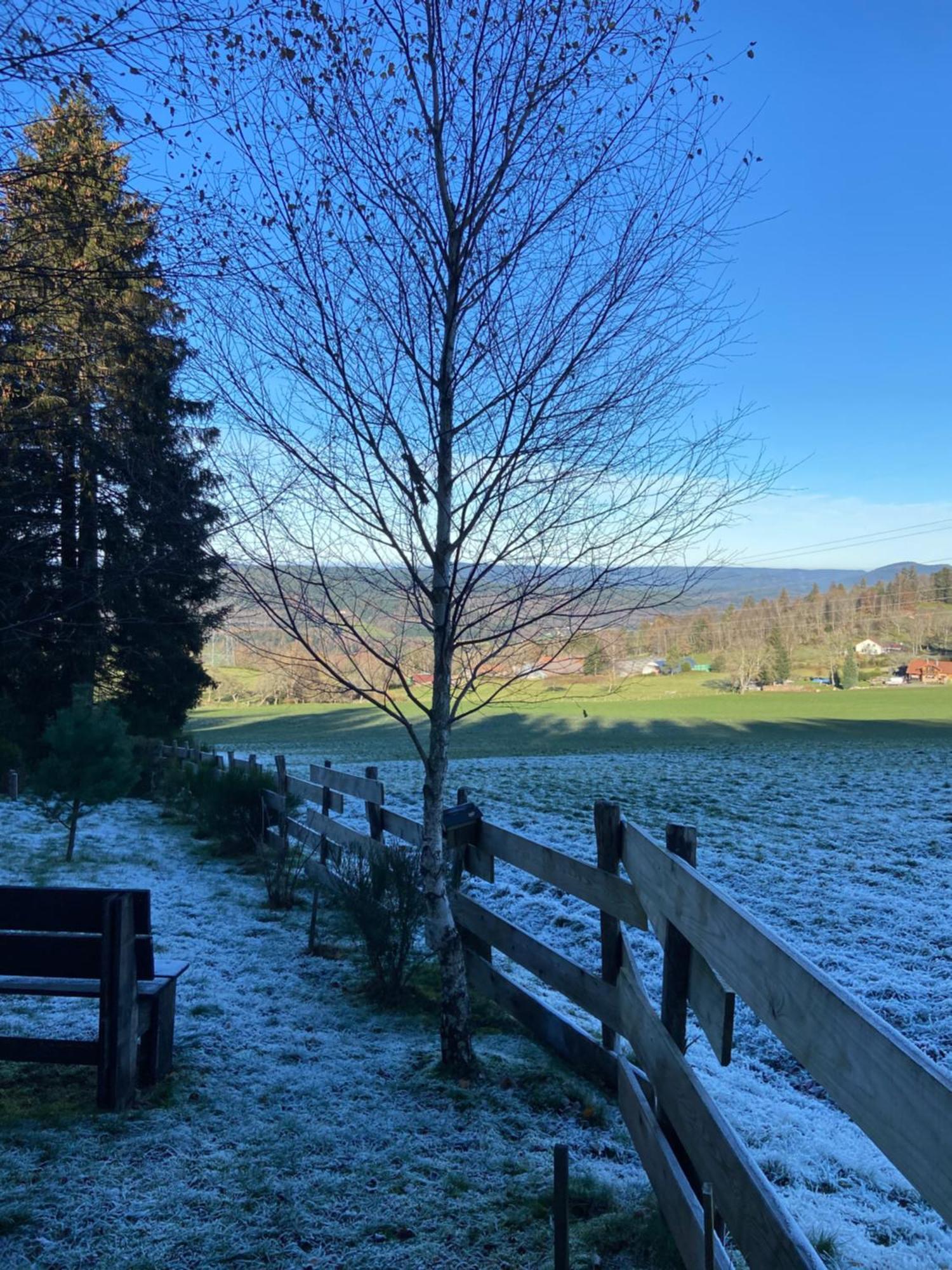 Chalet Authentique Au Calme, En Lisiere De Foret, Montagne, Sentiers 15Mn Gerardmer & Alsace "Chalet Mon Beau Sapin" Anould المظهر الخارجي الصورة
