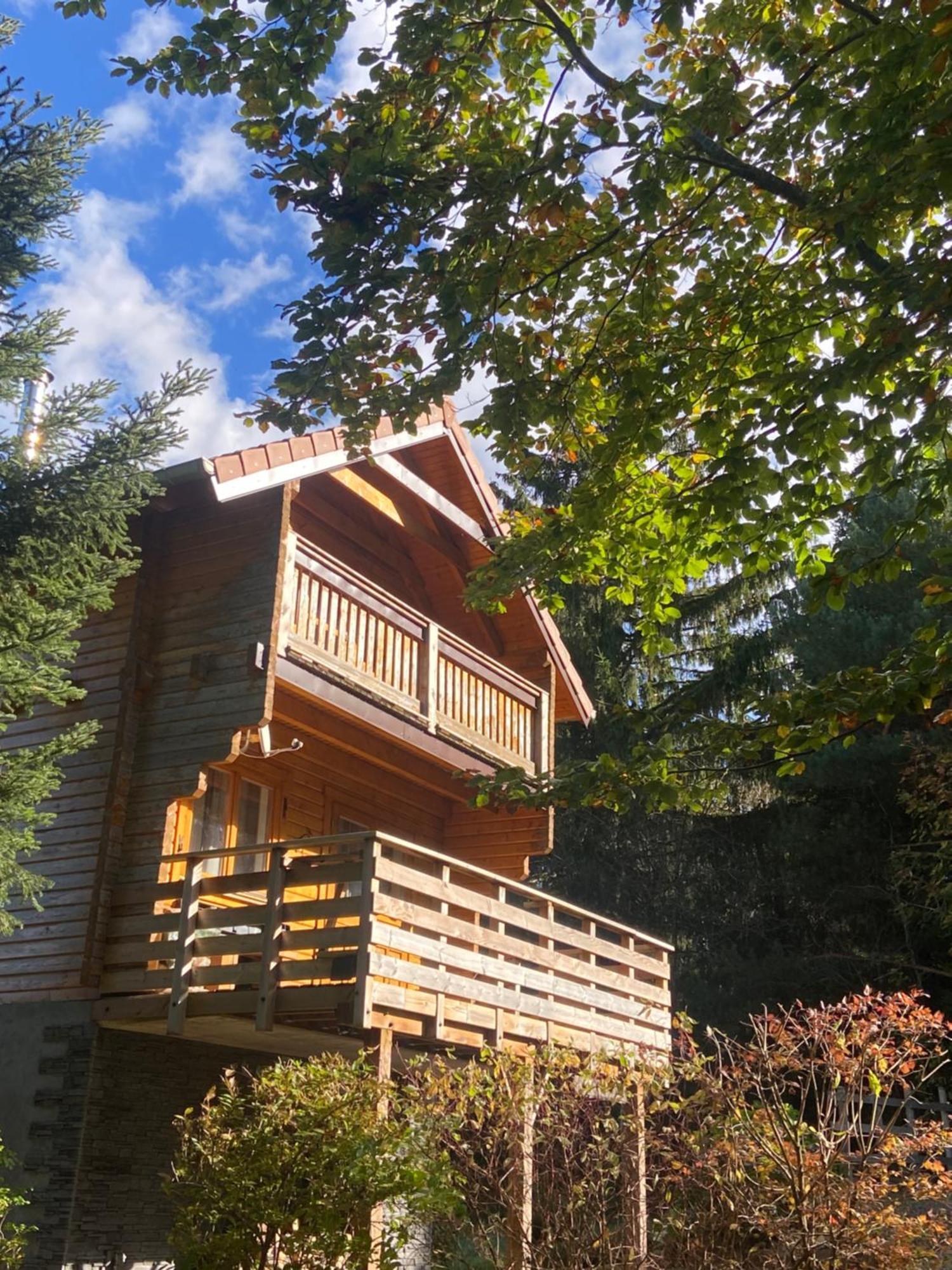 Chalet Authentique Au Calme, En Lisiere De Foret, Montagne, Sentiers 15Mn Gerardmer & Alsace "Chalet Mon Beau Sapin" Anould المظهر الخارجي الصورة
