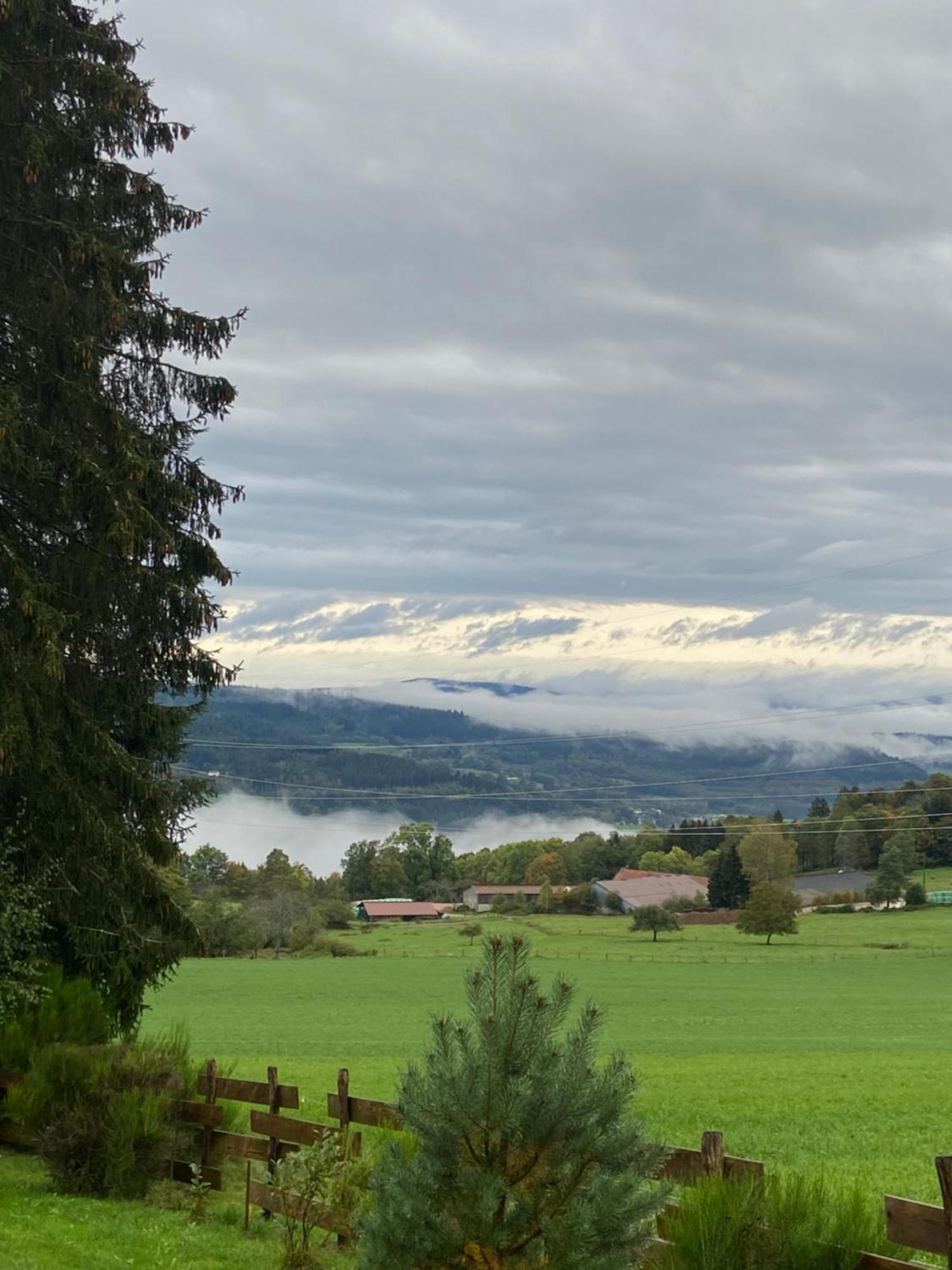 Chalet Authentique Au Calme, En Lisiere De Foret, Montagne, Sentiers 15Mn Gerardmer & Alsace "Chalet Mon Beau Sapin" Anould المظهر الخارجي الصورة