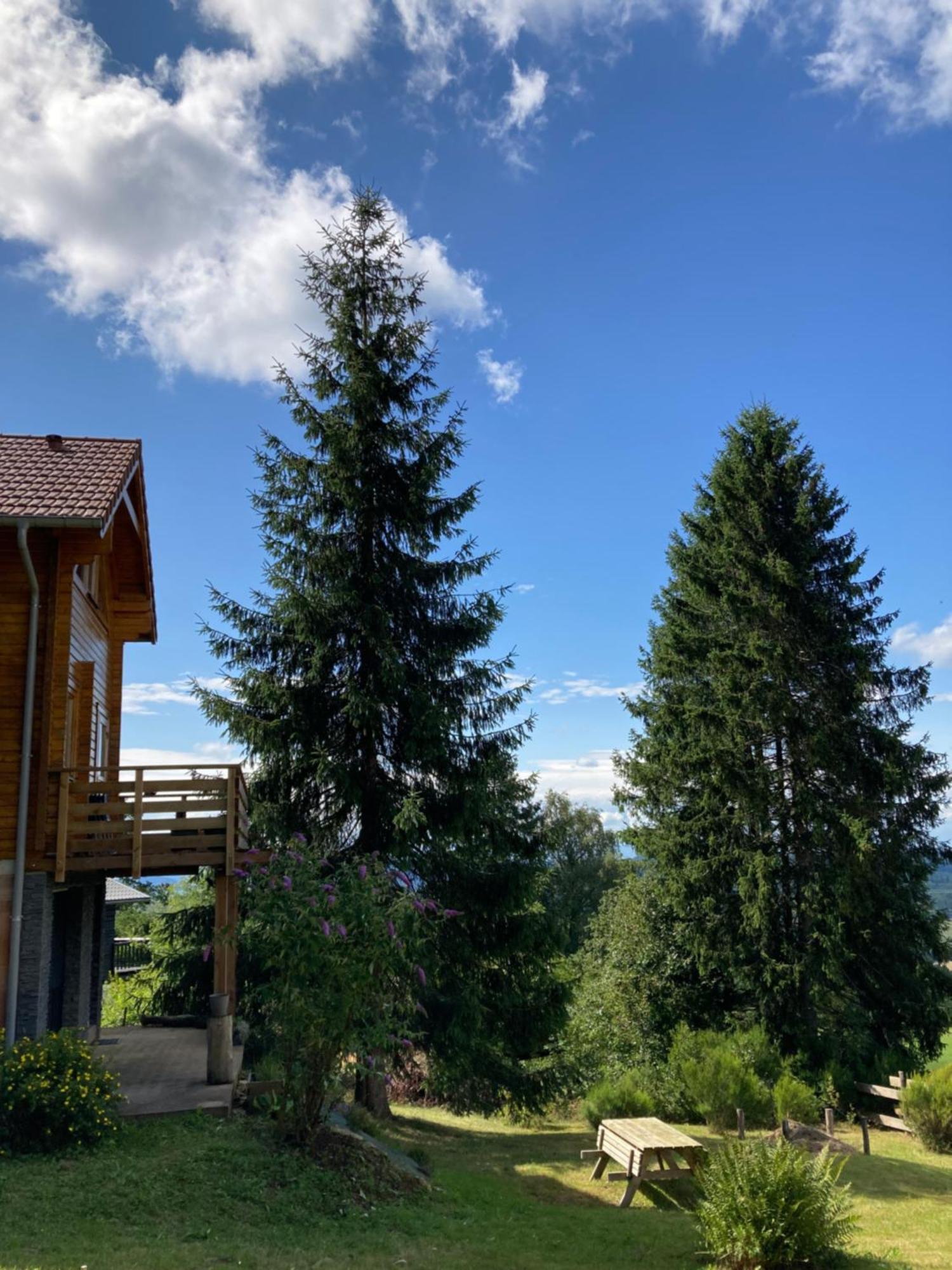 Chalet Authentique Au Calme, En Lisiere De Foret, Montagne, Sentiers 15Mn Gerardmer & Alsace "Chalet Mon Beau Sapin" Anould المظهر الخارجي الصورة