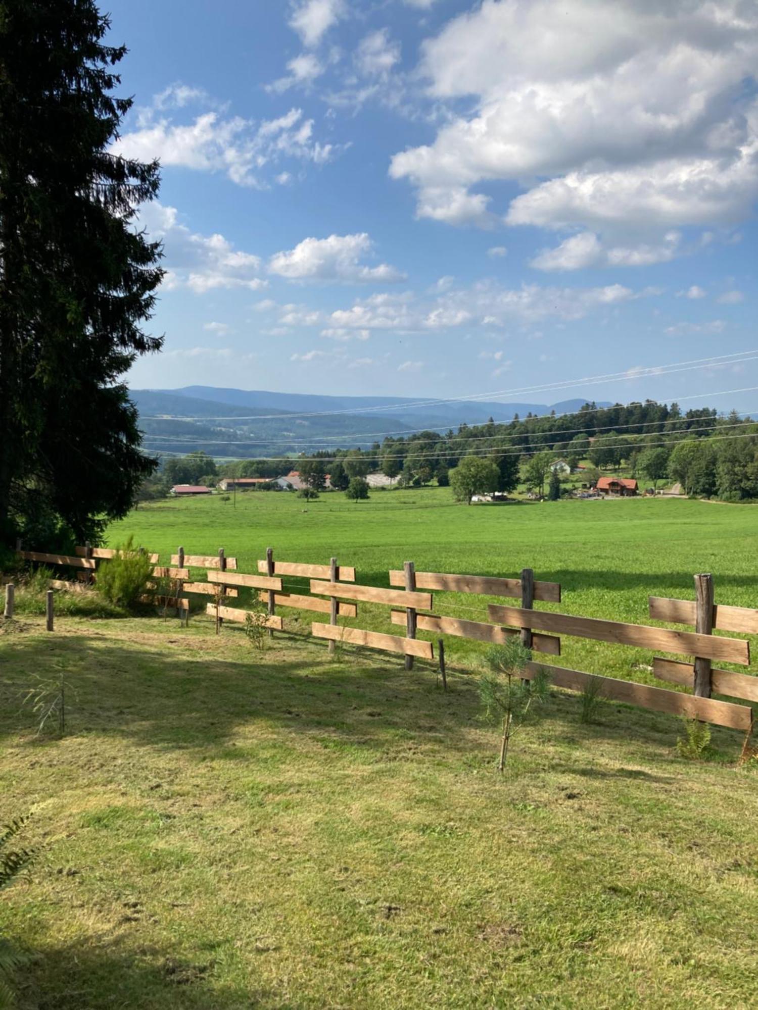 Chalet Authentique Au Calme, En Lisiere De Foret, Montagne, Sentiers 15Mn Gerardmer & Alsace "Chalet Mon Beau Sapin" Anould المظهر الخارجي الصورة