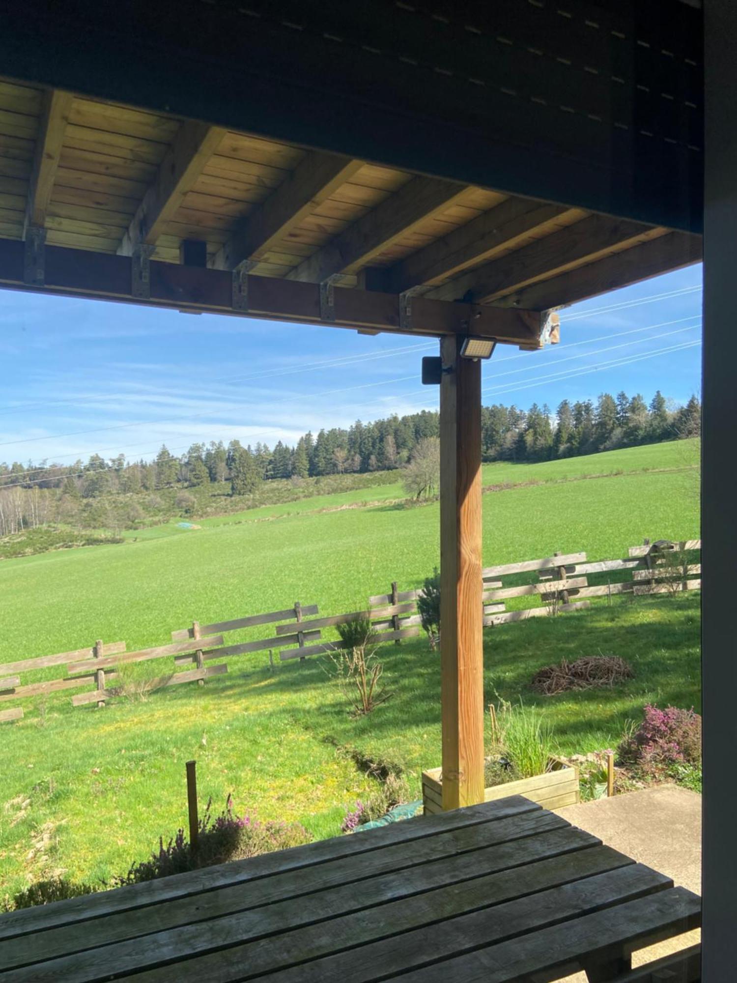 Chalet Authentique Au Calme, En Lisiere De Foret, Montagne, Sentiers 15Mn Gerardmer & Alsace "Chalet Mon Beau Sapin" Anould المظهر الخارجي الصورة