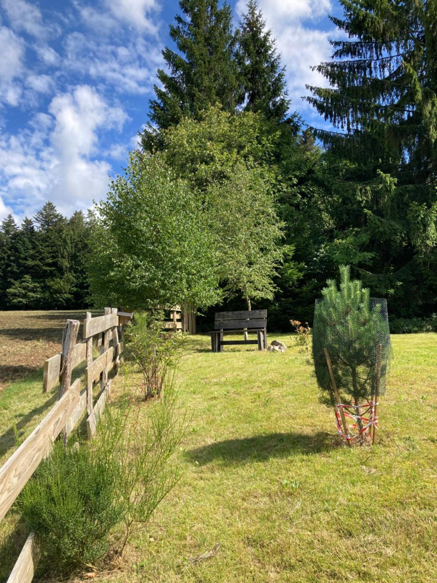 Chalet Authentique Au Calme, En Lisiere De Foret, Montagne, Sentiers 15Mn Gerardmer & Alsace "Chalet Mon Beau Sapin" Anould المظهر الخارجي الصورة