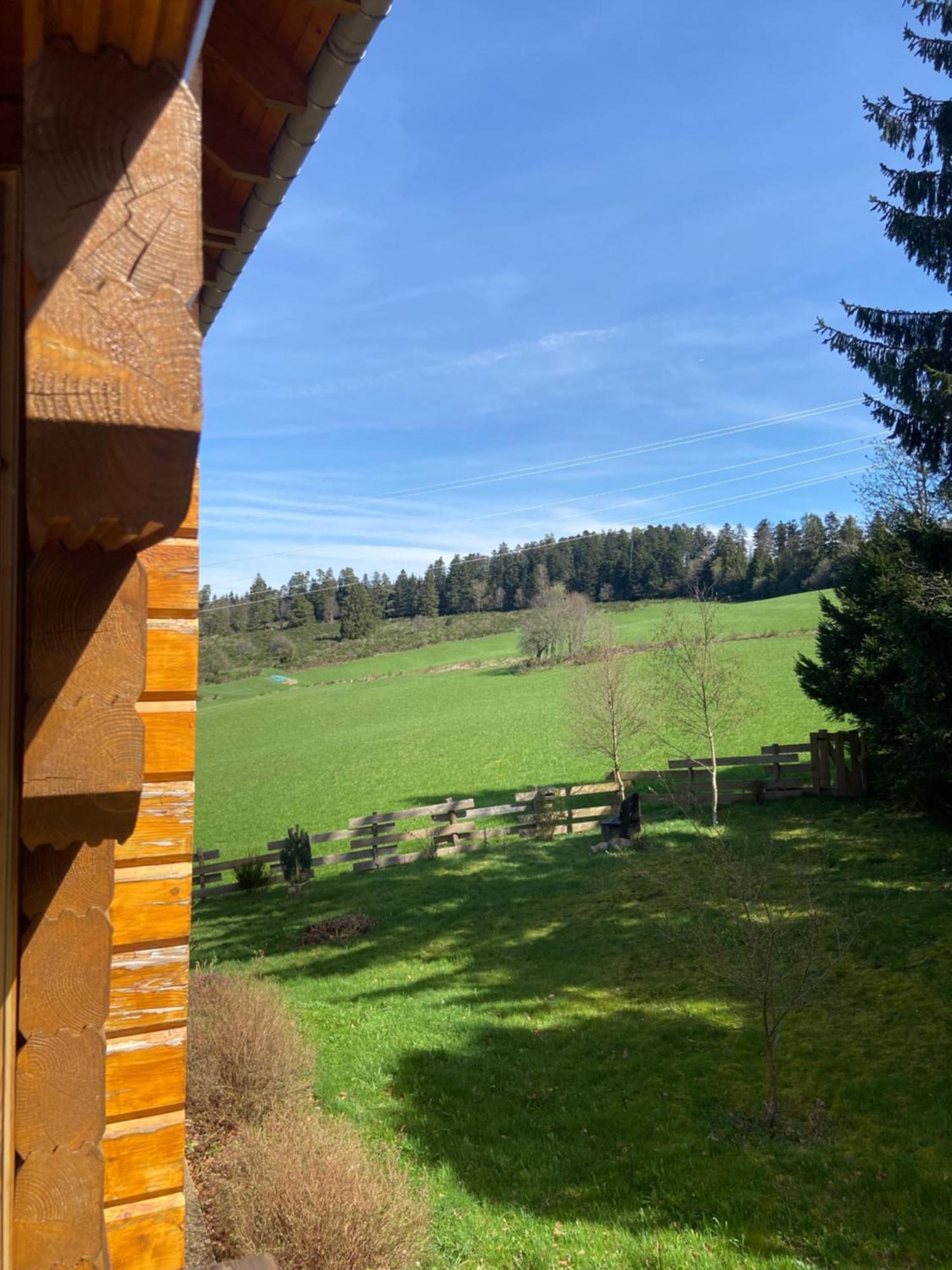 Chalet Authentique Au Calme, En Lisiere De Foret, Montagne, Sentiers 15Mn Gerardmer & Alsace "Chalet Mon Beau Sapin" Anould المظهر الخارجي الصورة