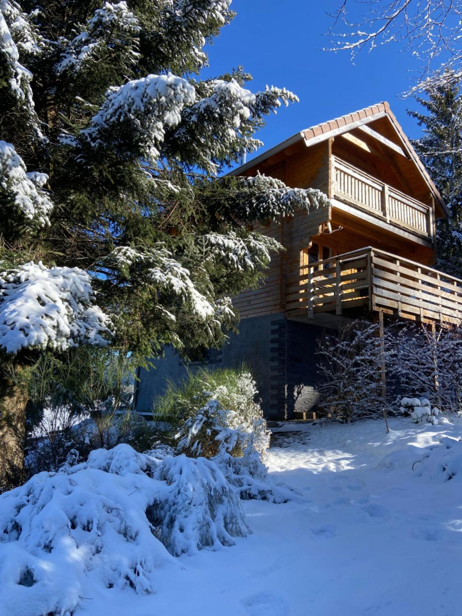 Chalet Authentique Au Calme, En Lisiere De Foret, Montagne, Sentiers 15Mn Gerardmer & Alsace "Chalet Mon Beau Sapin" Anould المظهر الخارجي الصورة
