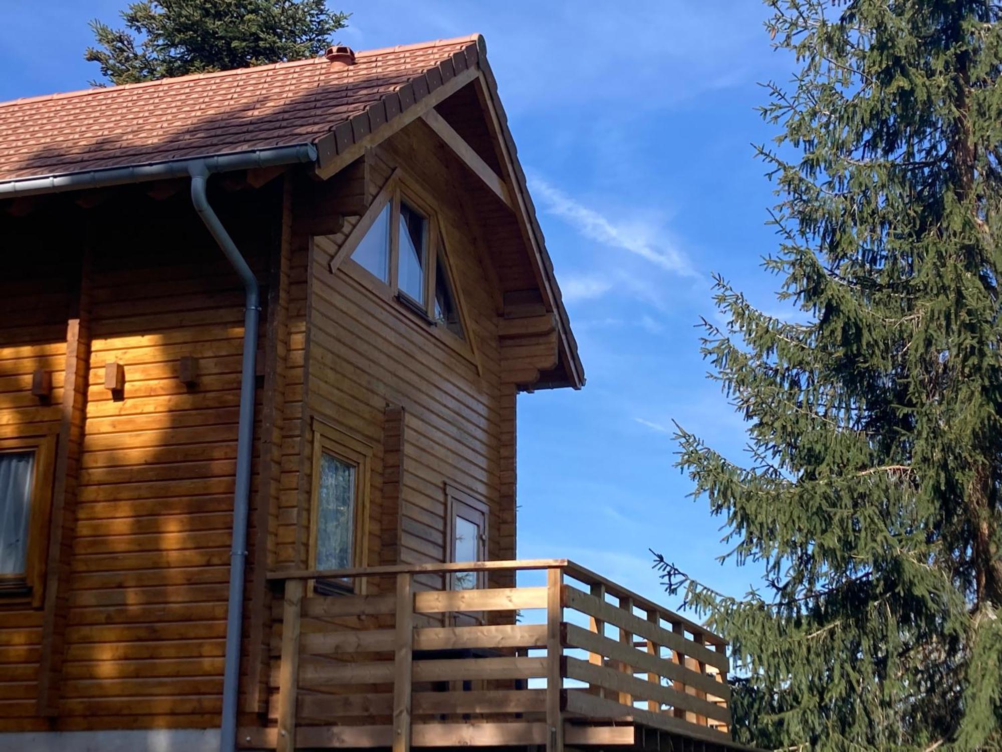 Chalet Authentique Au Calme, En Lisiere De Foret, Montagne, Sentiers 15Mn Gerardmer & Alsace "Chalet Mon Beau Sapin" Anould المظهر الخارجي الصورة