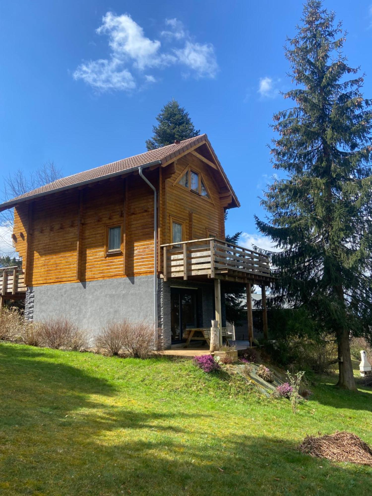 Chalet Authentique Au Calme, En Lisiere De Foret, Montagne, Sentiers 15Mn Gerardmer & Alsace "Chalet Mon Beau Sapin" Anould المظهر الخارجي الصورة
