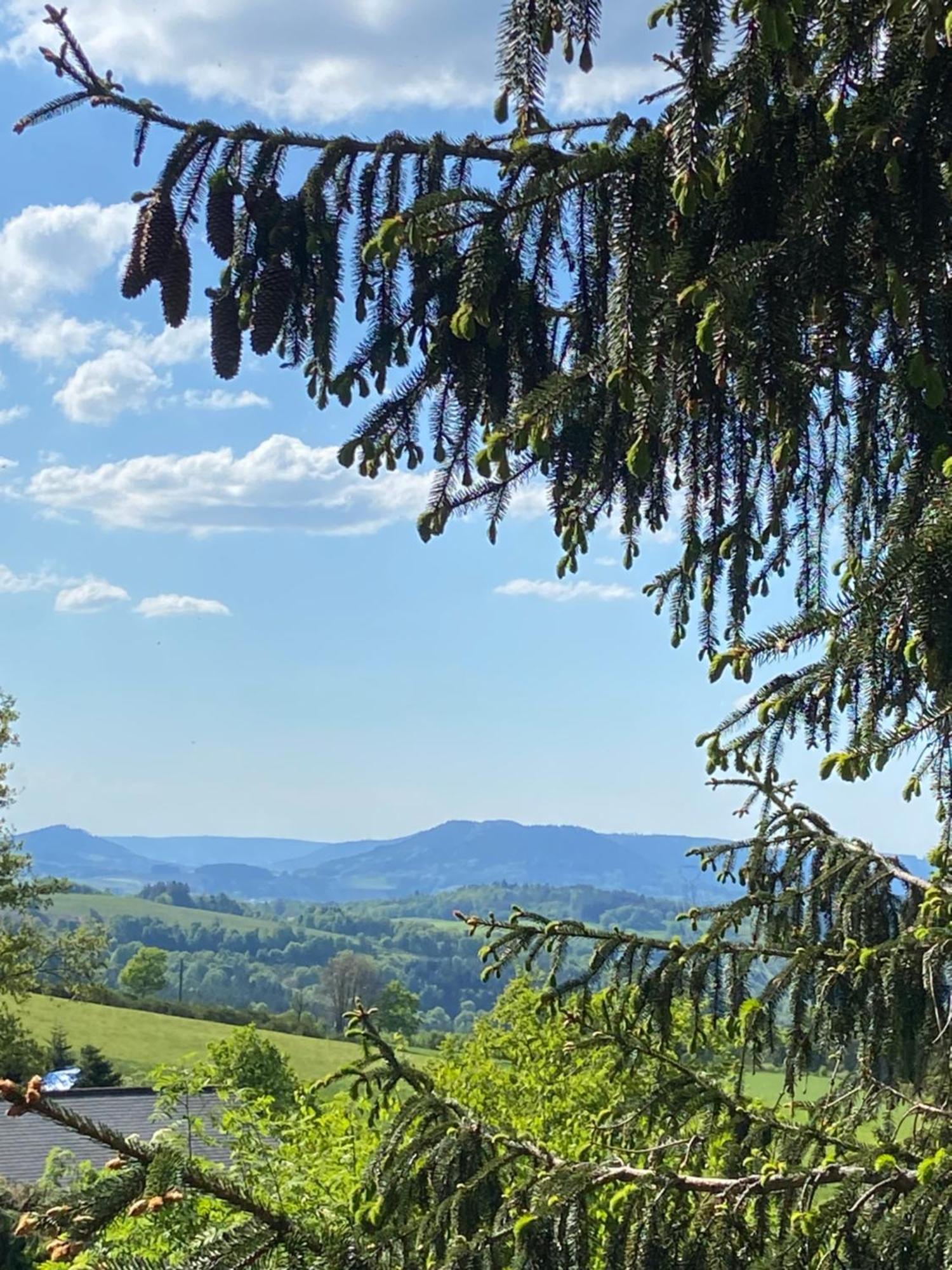 Chalet Authentique Au Calme, En Lisiere De Foret, Montagne, Sentiers 15Mn Gerardmer & Alsace "Chalet Mon Beau Sapin" Anould المظهر الخارجي الصورة